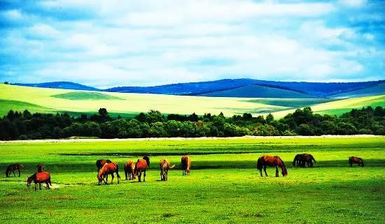内蒙古,草原之韵与文化魅力展现