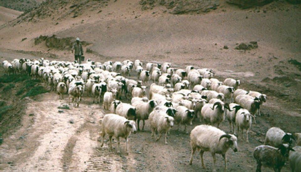 探寻宁夏塞上江南的多元魅力