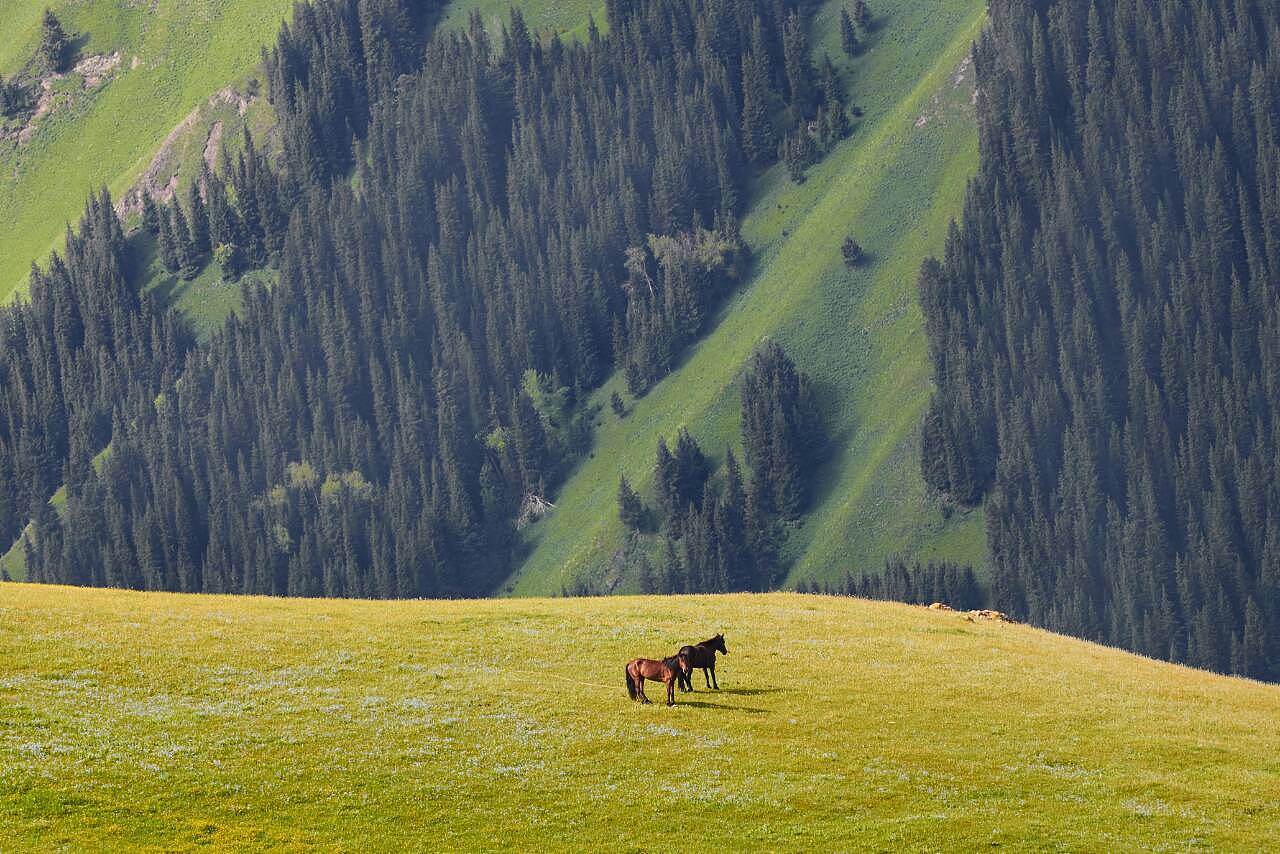 丝路西域,新疆行吟之旅