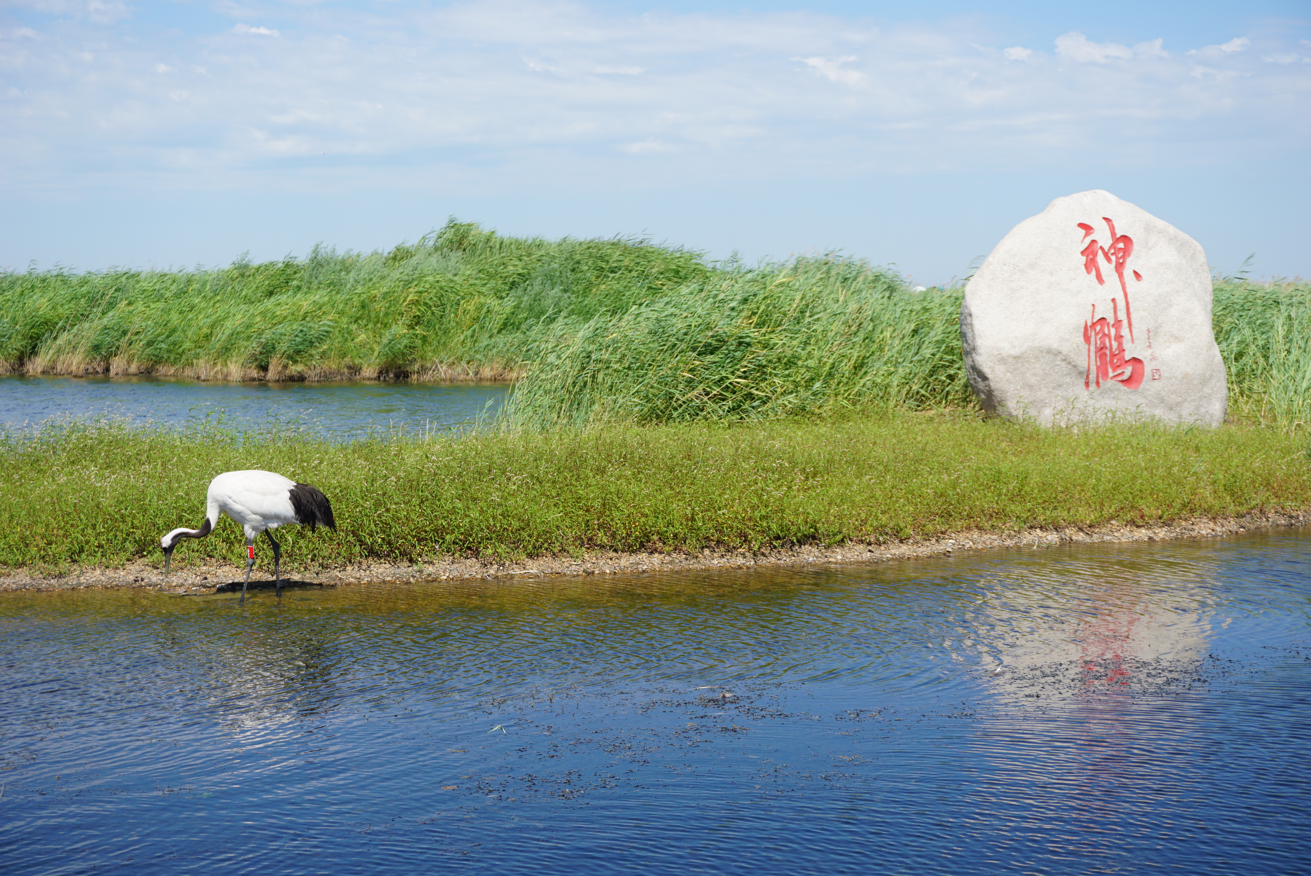 探寻古河东，运城历史文化名城之旅