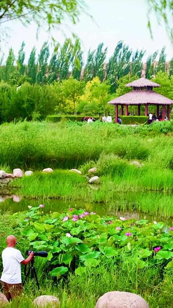 包头韵,穿越时空的城市传奇