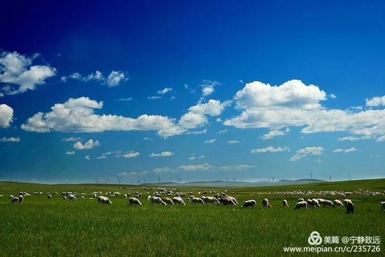 呼伦贝尔之声,尊敬听众,欢迎收听!